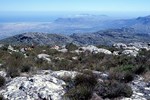 Kapstadt: Wanderung auf dem Tafelberg